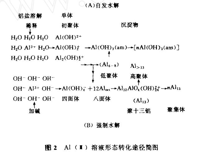 聚合氯化鋁與傳統混凝劑的凝聚-絮凝行為差異